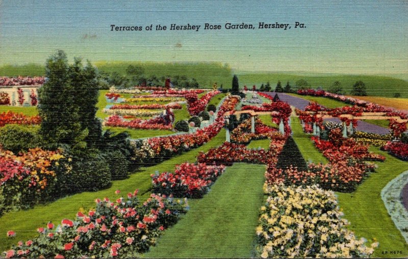 Pennsylvania Hershey Terraces Of The Hershey Rose Garden Curteich