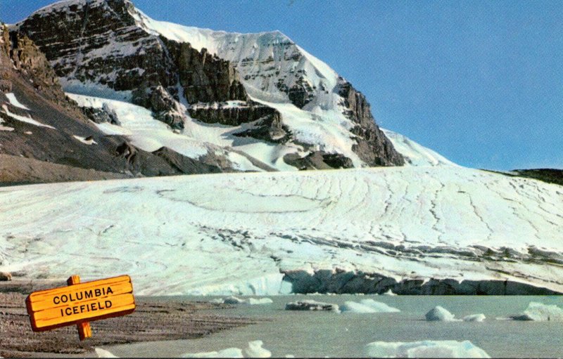 Canada Alberta The Columbia Icefields