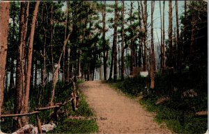 Path Through the Woods, Lynn MA Vintage Postcard S37