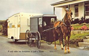 Horse & Amish Wagon Pulling a Shasta America's #1 Selling Travel Trailer PC