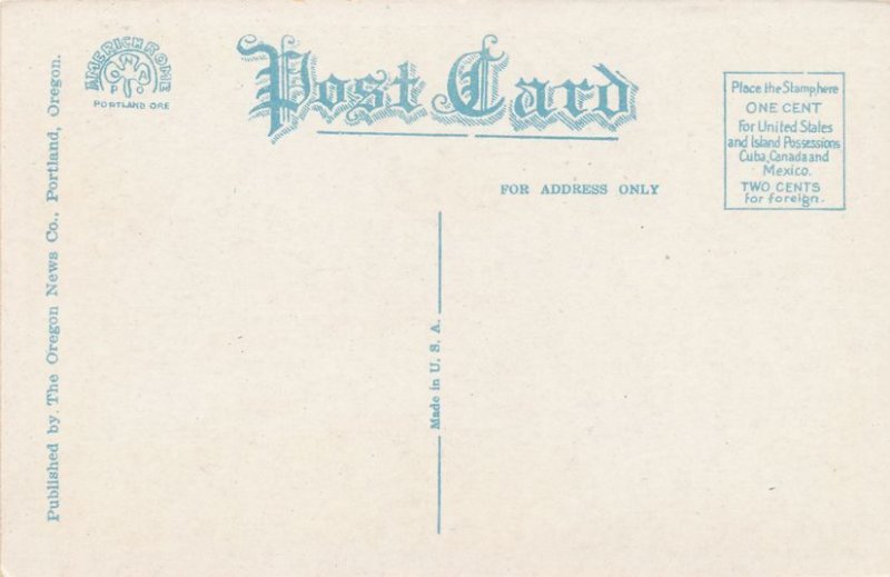 Giant Cedar Tree in the Northwest, Oregon - WB