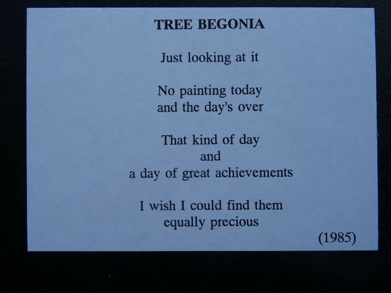 TREE BEGONIA Paintings Poems by Japanese Disabled Artist Tomihiro Hoshino PC