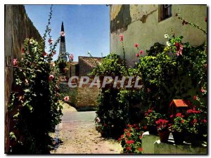 Postcard Modern Ile De Re Charente Maritime 17 A pretty alley in bloom