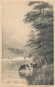 Drawn cows at the pond photogravure artist H. Lawes vintage postcard