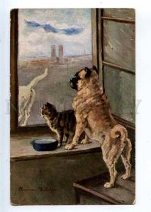 234854 PUG & Kitty CAT in Window by KIEKFER Vintage TSN PC