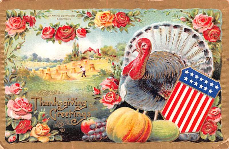 Patriotic Thanksgiving  