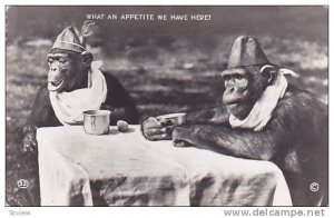 RP, Monkeys With Big Appetite, What An Appetite We Have Here!, Edgemore Lod...