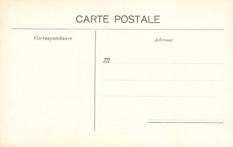 Vintage Postcard Chamonix A Vol D'Oiseau Charnaux Freres & Co. Geneve France