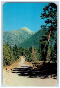 Cranbrook British Columbia Canada Postcard Mount Fisher Kootenay Valley c1950's