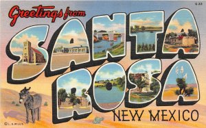 H27/ Santa Rosa  New Mexico Postcard Linen Large Letter Greetings Willis