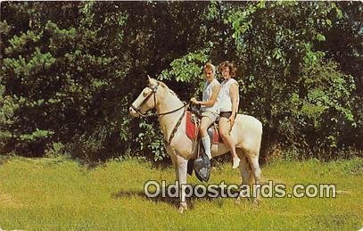 Horse Walker Minnesota, USA 1961 