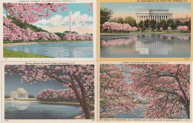 (4 cards) Cherry Blossoms and Various Monuments - Washington, DC - Linen