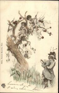 Babies in Apple Tree Soldier w/ Sword 1901 Cancel - French Postcard