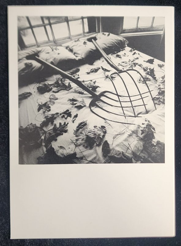 Making Leaves Gay Art Photo by Arthur Tress 1979 A Robert Samuel Card ©1980