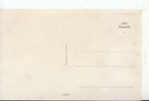 The Netherlands Postcard - Haarlem - Vieeschhal - Ref 14956A