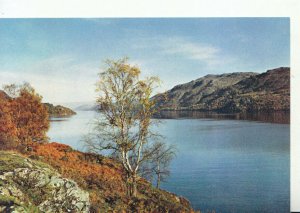 Scotland Postcard - Loch Ness - Inverness-shire - Ref TZ8689