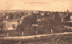 1910 View of North White Lake Pathway Residences New York NY Vintage Postcard