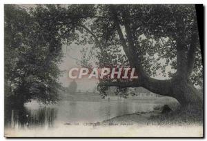 Old Postcard Creteil Tree Bend