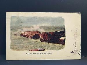 Postcard  1901 View of Natural Bridge , Cliff Drive , Santa Cruz, CA    U2