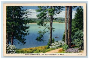 1936 Mooselookmeguntic Rangeley Region of Maine ME Vintage Posted Postcard