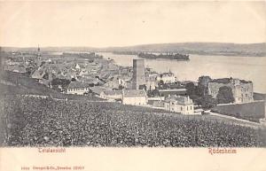 RUDESHEIM GERMANY TOTALANSICHT TOTAL VIEWPOSTCARD c1920s