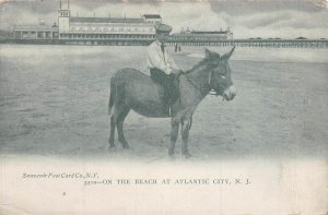 ATLANTIC CITY NJ NEW JERSEY~BOY RIDING DONKEY-ON THE BEACH~1900 POSTCARD