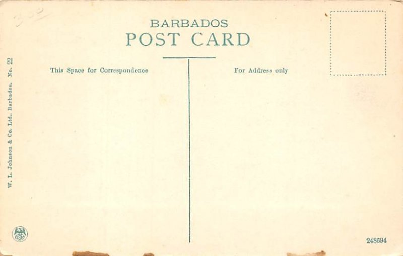 Silk Cotton Trees Barbados West Indies Unused 