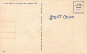 Vintage Postcard Stop Fooling Dear & Bring Ice Before Husband Come Home! Comic 