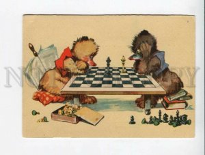 3046488 TEDDY BEARS play CHESS Vintage PC