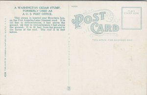 Washington Cedar Stump formerly US Post Office Unused Postcard G87