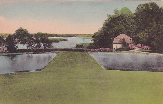 Middleton Place Gardens Charleston South Carolina Handcolored Albertype