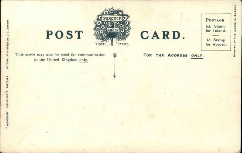 Steamship Cunard Line RMS Campania & Tugs c1910 Postcard