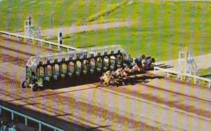 Horse Racing At Scarborough Downs Maine