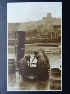 Yorkshire WHITBY Fishergirls Sorting Fish on Dockside c1915 RP Postcard - Judges