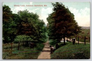 Civil War Bloody Lane Antietam Battlefield MD 1908 Postcard R22