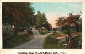 Vintage Postcard 1924 Greetings From Blanchester Ohio Roadways Big Trees 