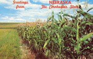 Nebraska - The Cornhusker State