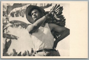 ISRAEL CHALUTZ CARRYING THE FRUITS VINTAGE POSTCARD Judaica J.BENOR-KALTER photo