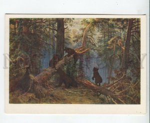 457454 USSR 1959 year Shishkin Morning in a pine forest old postcard