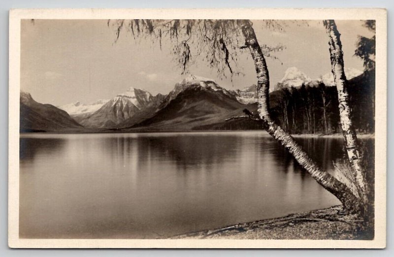 The Birch Tree Lake McDonald Glacier National Park MT RPPC Photo Postcard V27