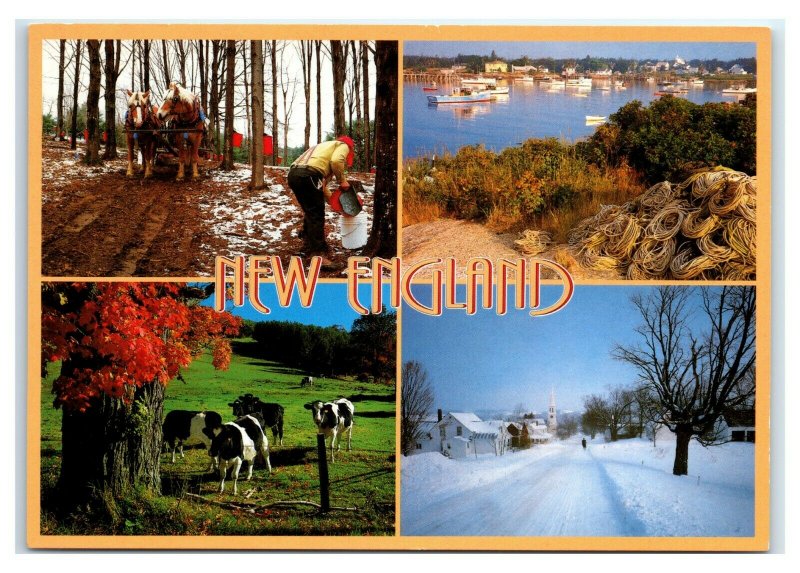 Postcard Greetings from New England - Multi View Maple Harbor Cow Snow NES51 K3
