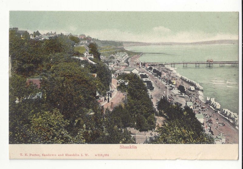 UK England Shanklin Isle of Wight Bathing Sands Vtg T E Porter Postcard c 1910