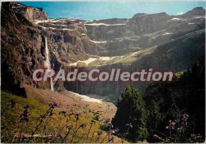 Modern Postcard The Pyrenees Gavarnie (Hautes Pyrenees) Field Iris and Gavarnie