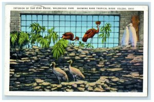 1937 Interior of Zoo Bird House Walbridge Park Toledo Ohio OH Postcard 