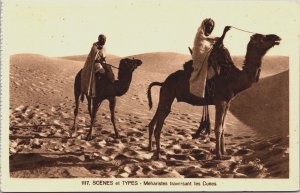 Algeria Scenes et Types Meharisten Traversant les Dunes Postcard C170