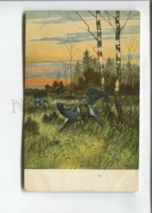 473057 HELLER Tetrao capercaillie HUNT in forest Vintage postcard