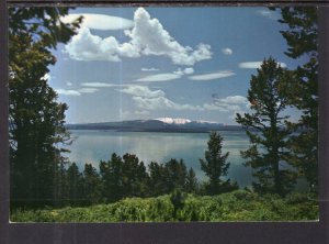 Yellowstone Park,Yellowstone National Park BIN