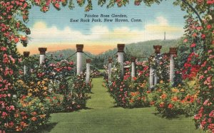 Pardee Rose Garden East Rock Park New Haven Connecticut CT Vintage Postcard 1946