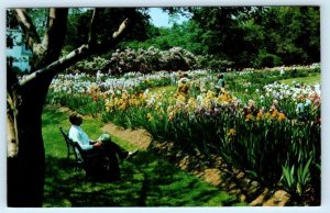 MONTCLAIR, New Jersey NJ ~ Mountainside Park PRESBY IRIS GARDENS c1960s Postcard