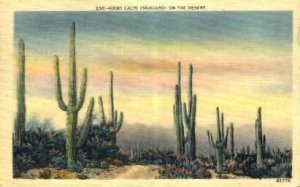 Giant Cacti - San Antonio, Texas
